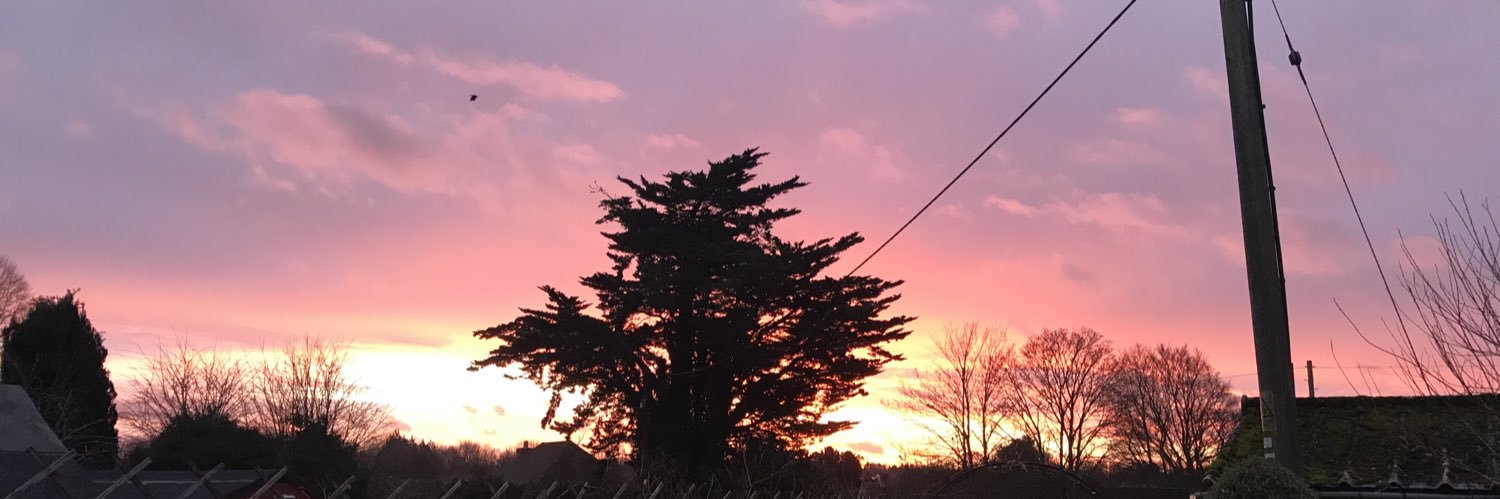 Rosiethebee's profile banner image