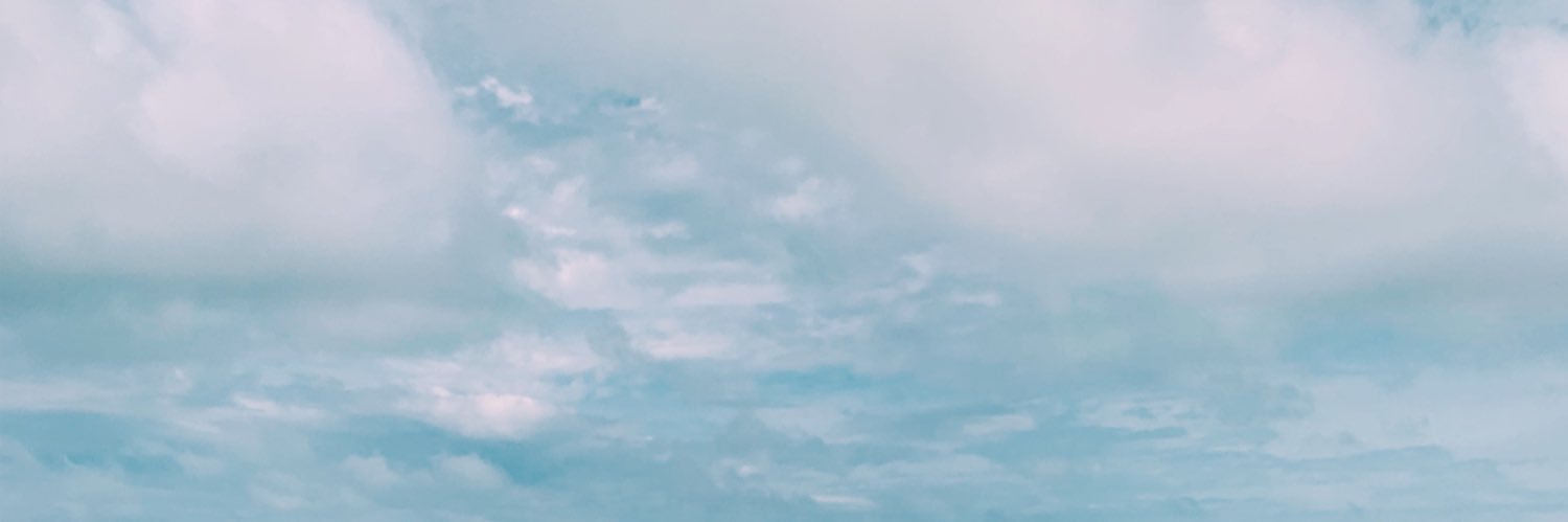 MacyRowland's profile banner image