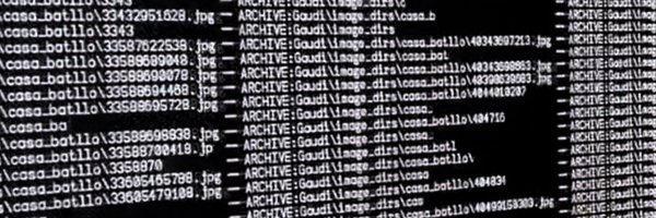 cryptobae Profile Banner