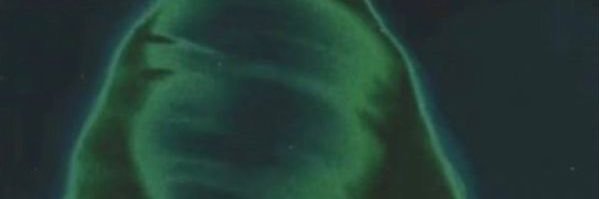 ppanene's profile banner image