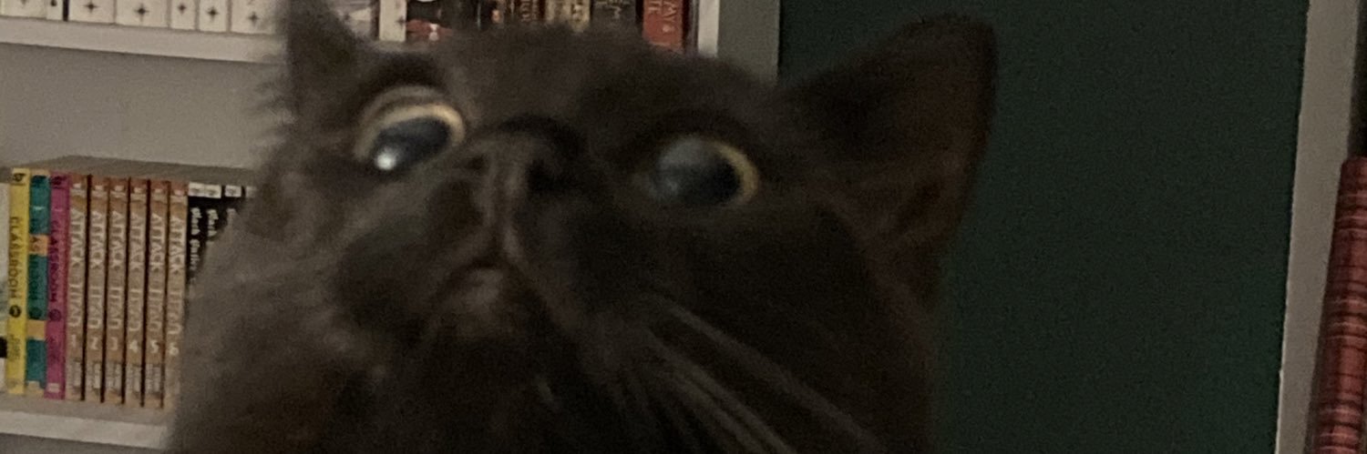 SleppyDisaster's profile banner image