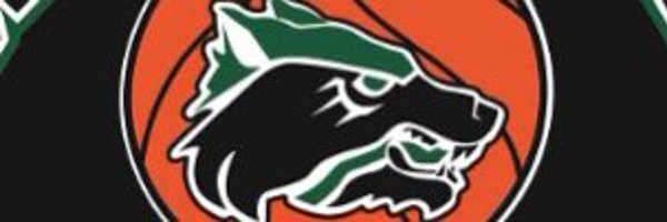 CaeleighRogers Profile Banner