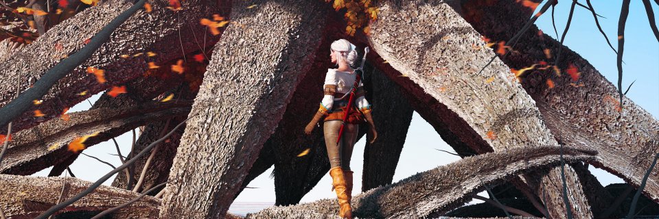 Ashen_Wolf_'s profile banner image