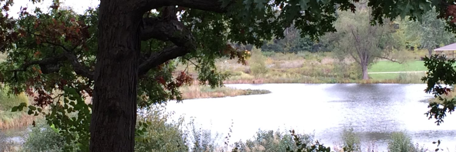 Michelle Ealey banner