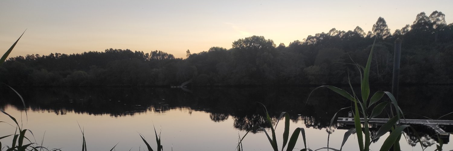 Xangui_'s profile banner image