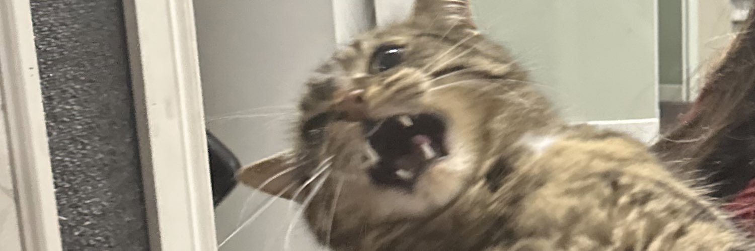 _Minniek6's profile banner image