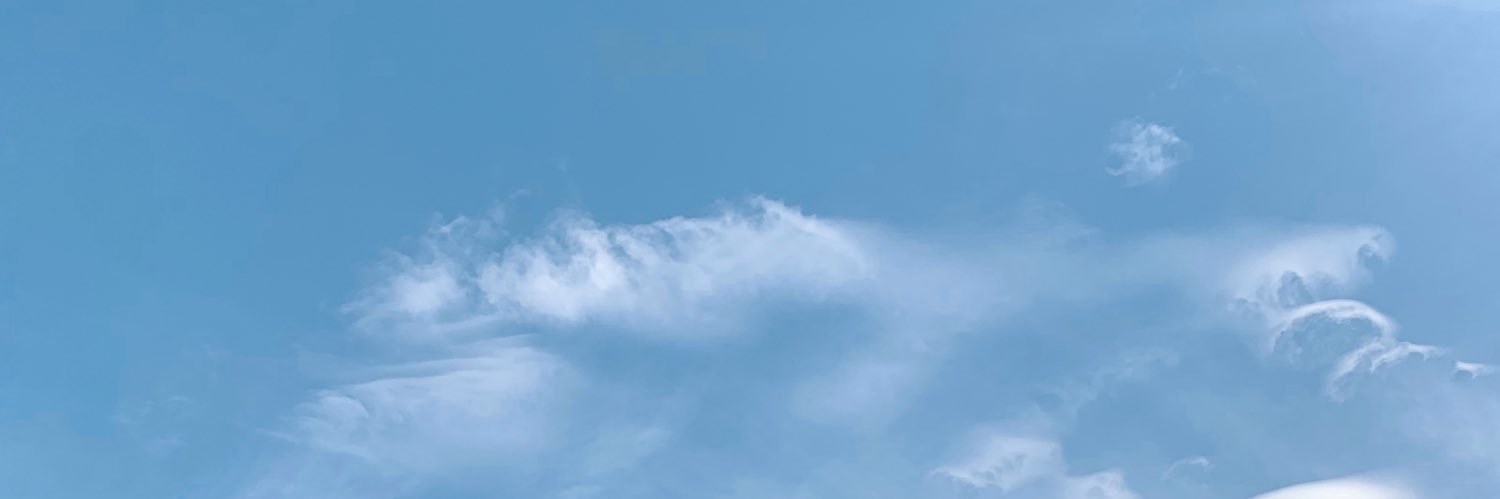 laiatomi's profile banner image