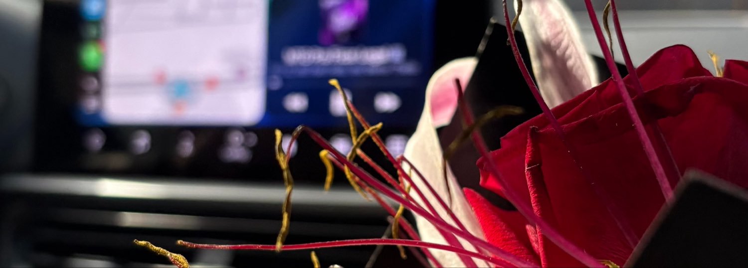 oplugth30's profile banner image