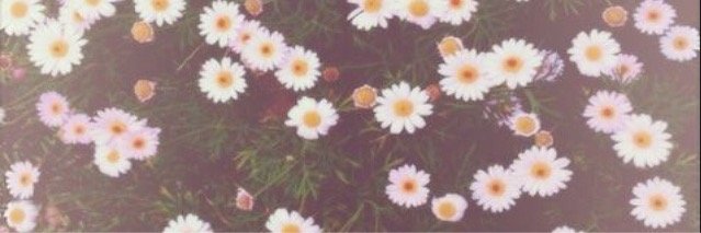 emmaobrien242's profile banner image