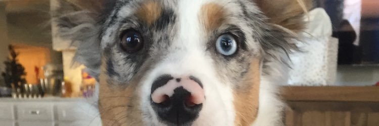 WSMFPOMAHA's profile banner image