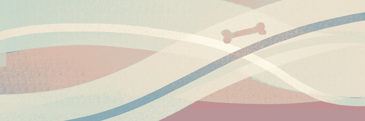 🦴⌒ banner