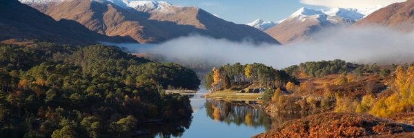 MattWG68 Profile Banner