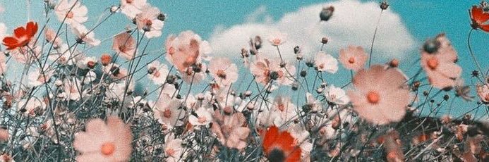 iviwosco's profile banner image