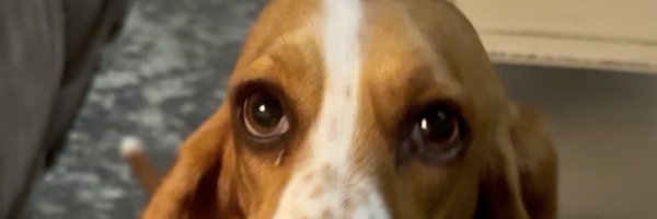 MaxandCarrie Profile Banner