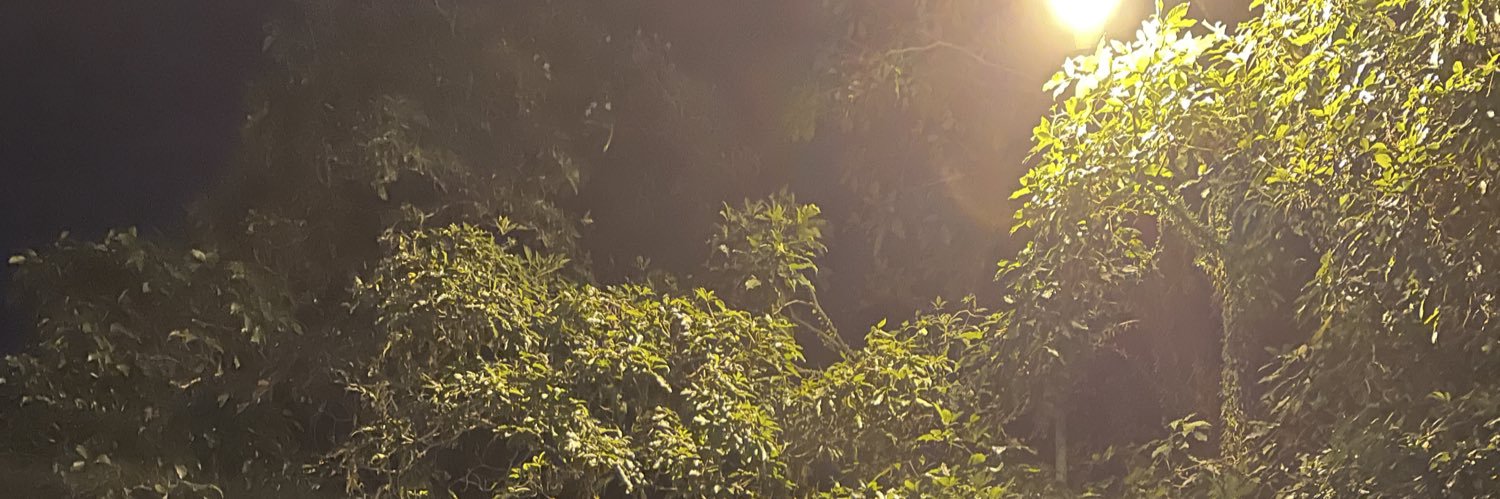 786 banner