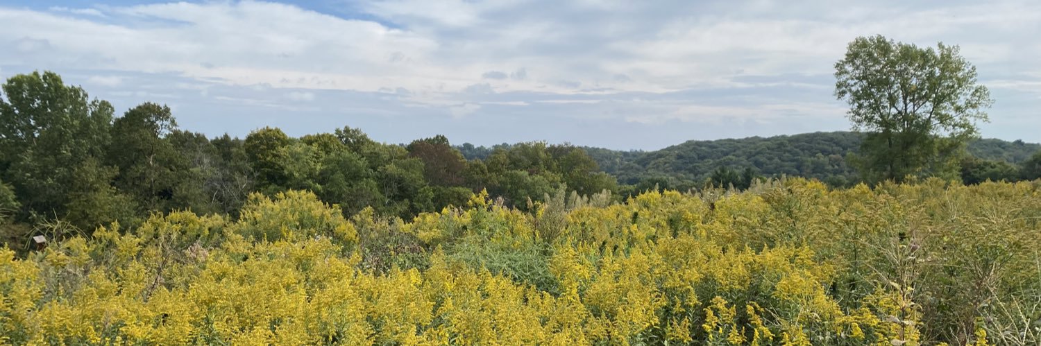 Melanie White banner