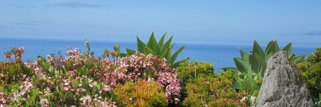 Manisha Joshi banner