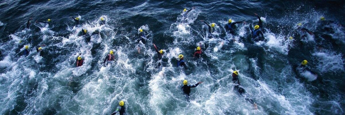 Alisa DiCaprio banner