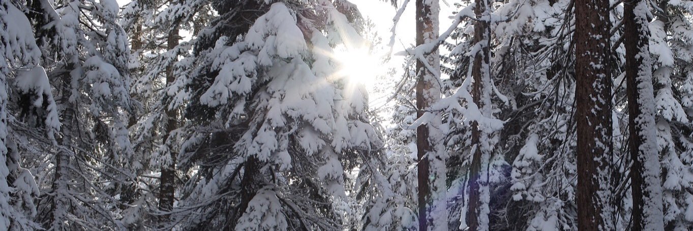 chaseolivieri's profile banner image