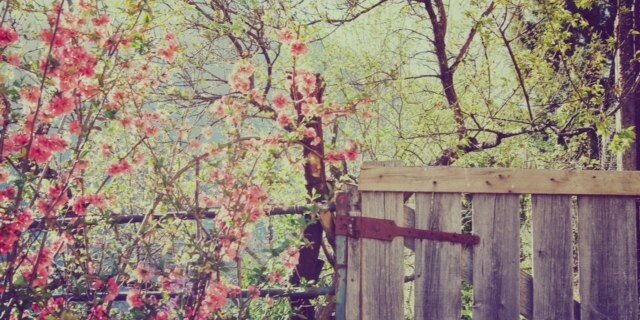 lotsofyoga's profile banner image