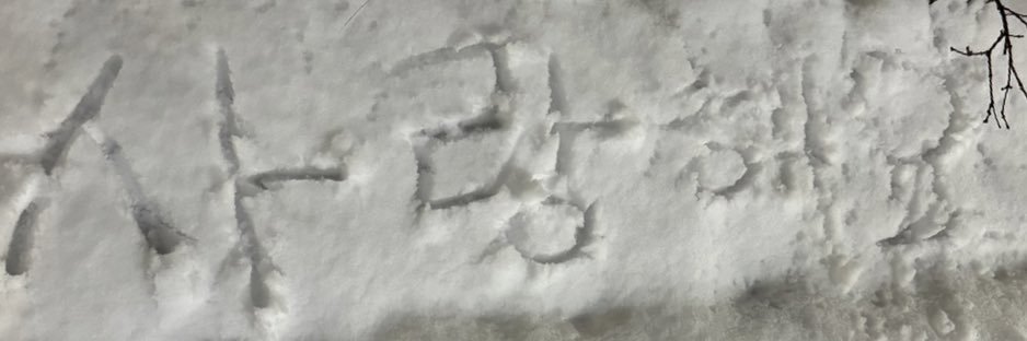 son_aayo's profile banner image
