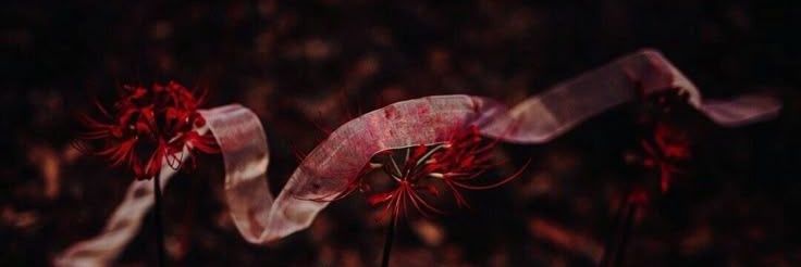 fluffsl*tty 🔞💜✨ banner