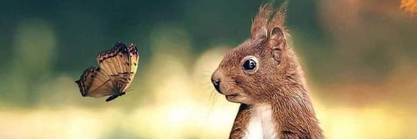 alberto80814618 Profile Banner