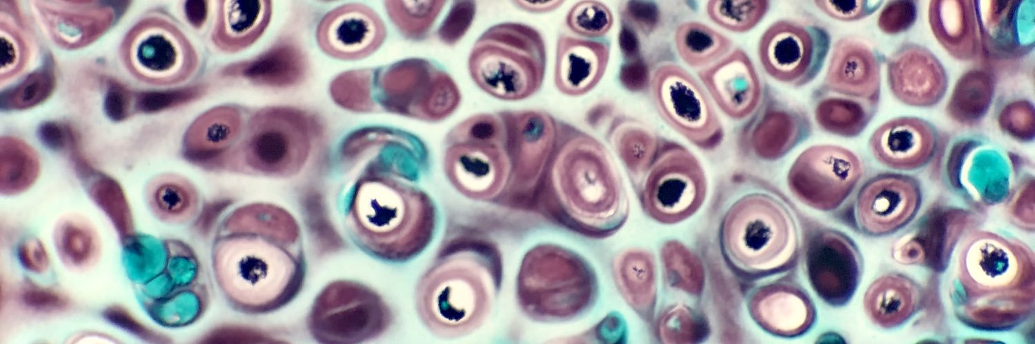 JAChavezMD's profile banner image