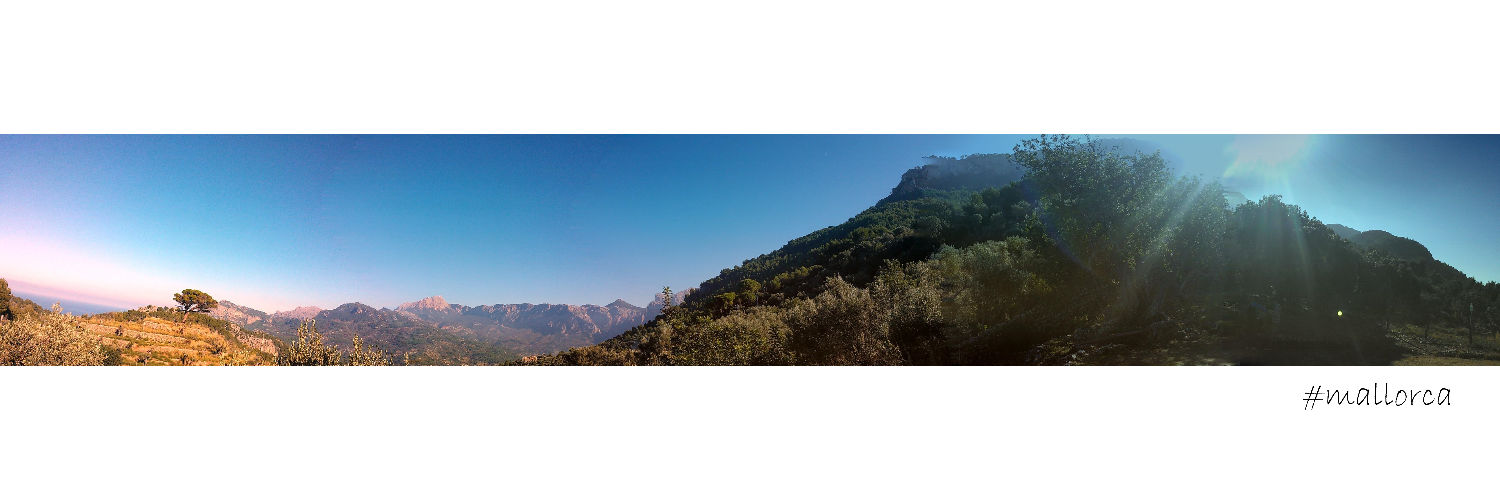 nprokopic's profile banner image