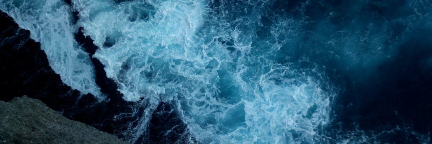 Selena Flores banner