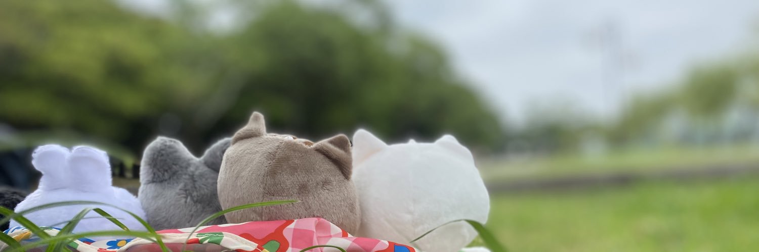 쿵치팍치 banner