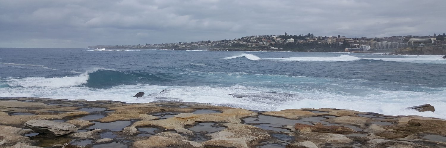 Dave Seminowicz @daspainbrain.bsky.social banner