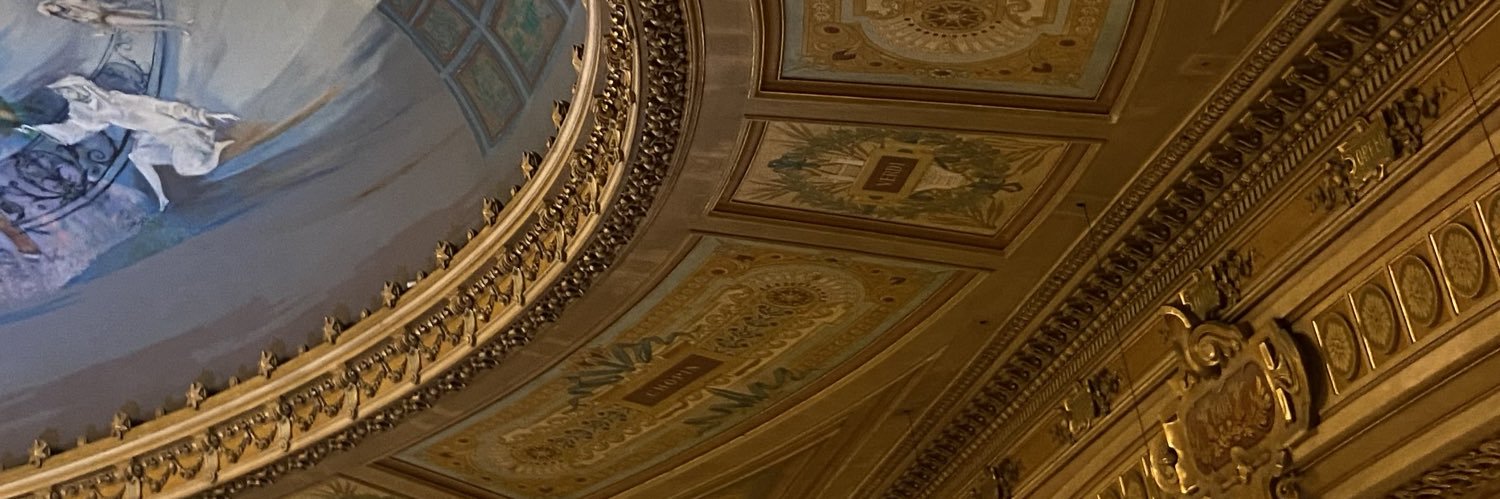 SolViglianco's profile banner image