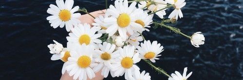 NihalFor's profile banner image