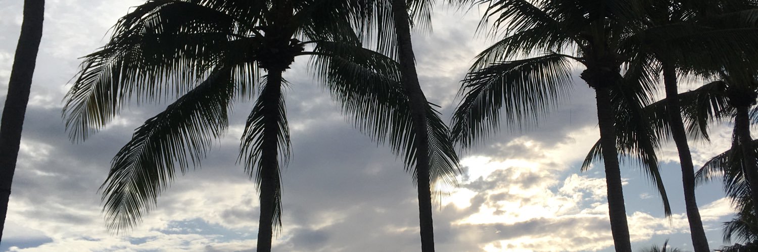 hannichen04's profile banner image