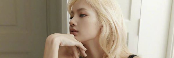 alejandro6664 Profile Banner