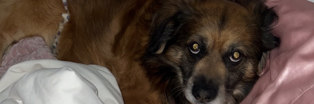 HannaMHall's profile banner image