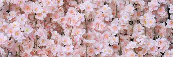 LaCubanaredd Profile Banner