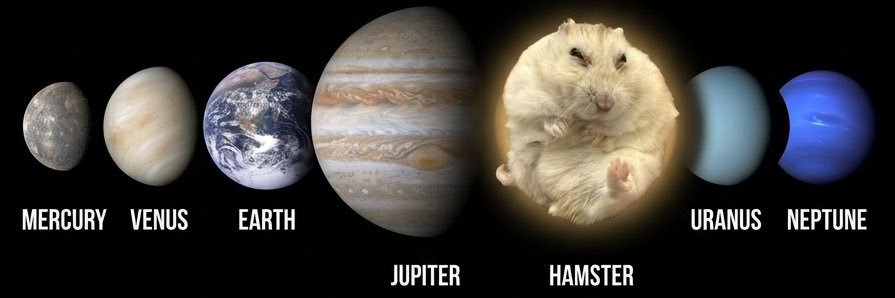 skunksaucers's profile banner image