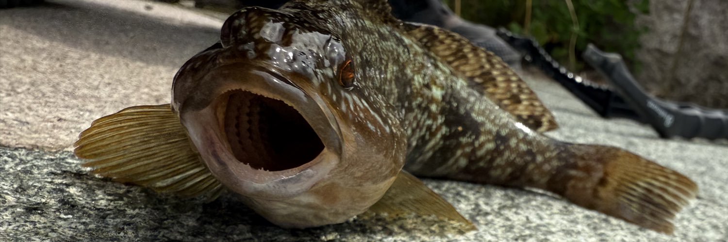 Mac_hh@陣川の狐 banner