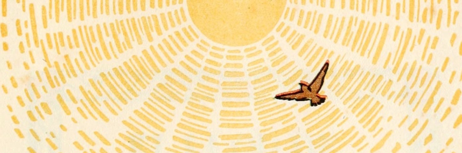 heykeavydean's profile banner image