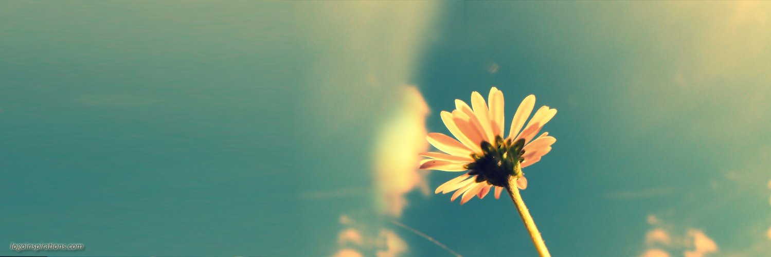 bapimurmu09's profile banner image