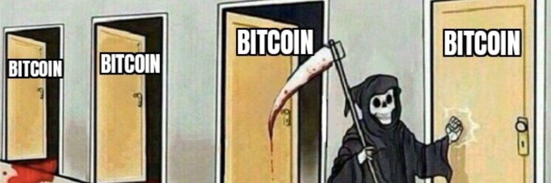 Felipe Pinheiro banner