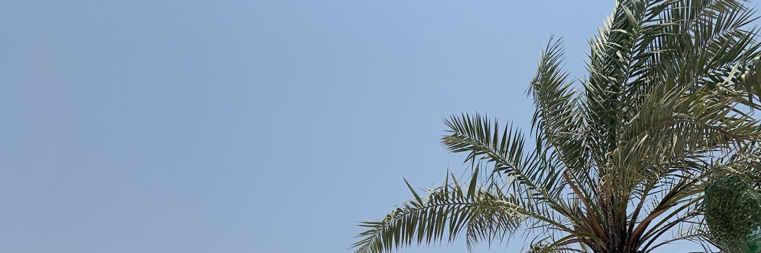 L2297C's profile banner image