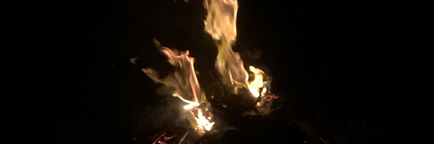 son | $BUBBLE 🫧🫧 $PARAM 🕹️ $RCADE banner