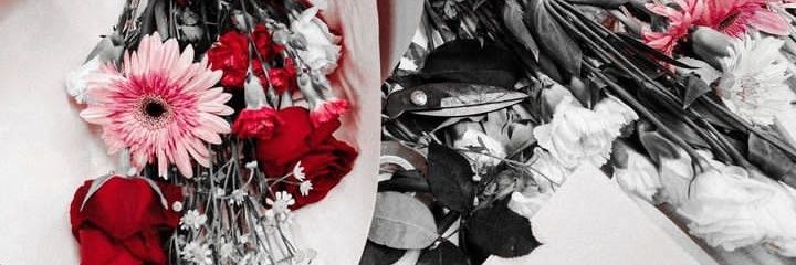 hazelnutthings's profile banner image