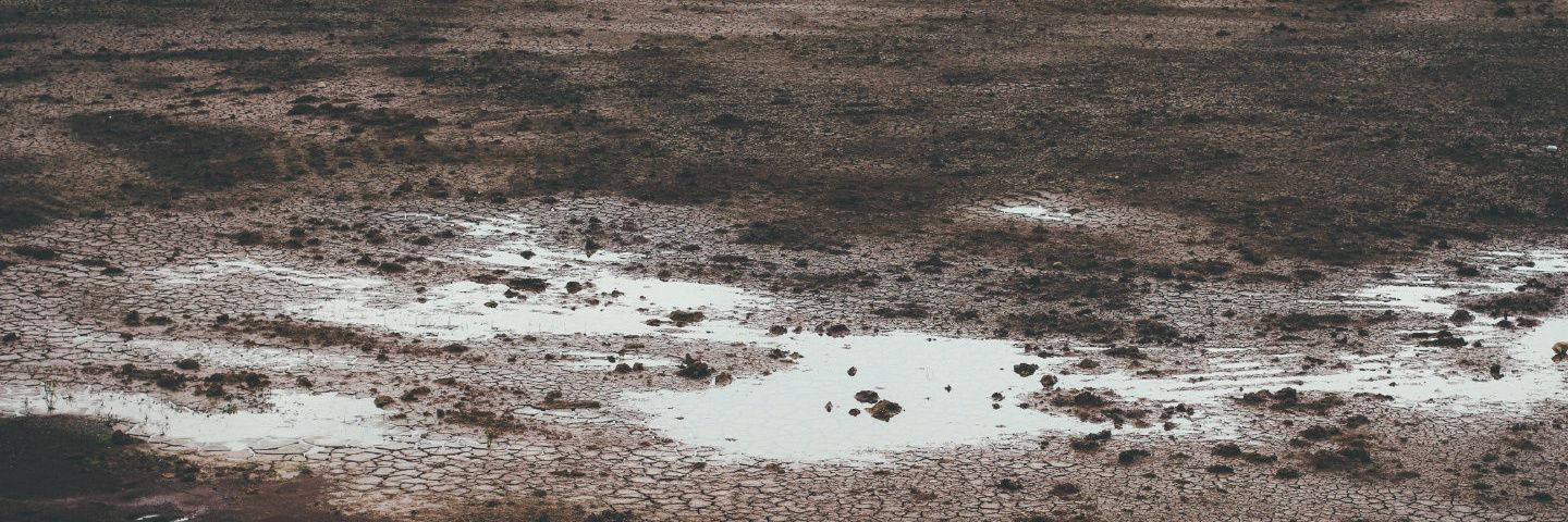 PFCLLL0724's profile banner image