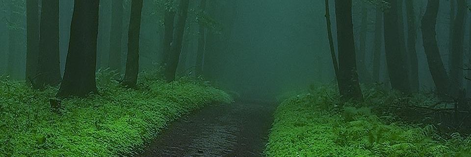 Myuri banner