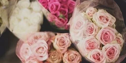 valenpetro's profile banner image
