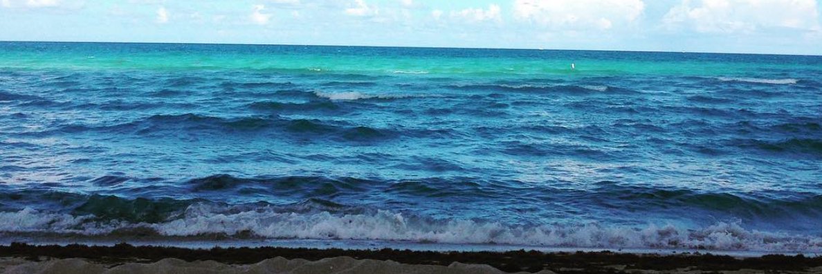 danielamanzanop's profile banner image